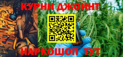 гашик Будённовск