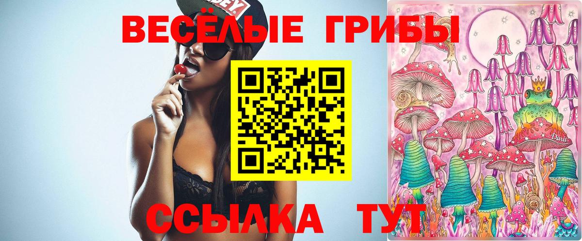 Псилоцибиновые грибы Psilocybine cubensis  Вход с VPN  Рубцовск 